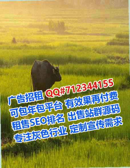 兴国卵妹互联网工作室